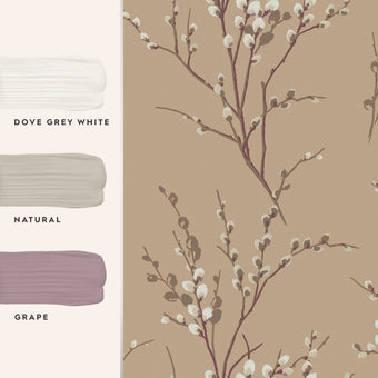 Pussy Willow Natural Wallpaper - View of coordinating paint colors